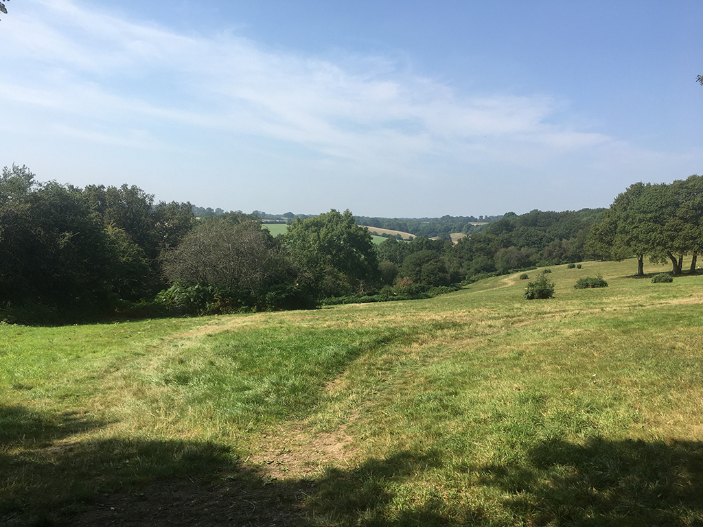 The acid grassland and successional forest habitats of the Western Slopes of Berkhamsted Common.